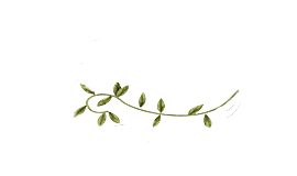 Lulu's Holistics